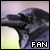 Ravens