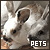 Pets