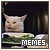 Can Has?  Memes