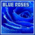 Blue Roses