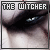 The Witcher book series
